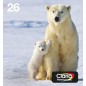 Epson Polar bear Multipack 4-colours 26 EasyMail Epson Polar bear Multipack 4-colours 26 EasyMail