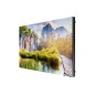 Samsung IE015A LED