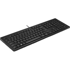 HP 125 Wired Keyboard (Bulk) clavier Bureau USB Noir