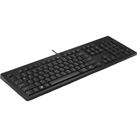 HP 125 Wired Keyboard (Bulk) clavier Bureau USB Noir