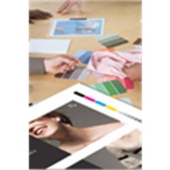 Epson Pap Proofing Blanc Semi-Mat 256g 13" (0,330x30,5m)