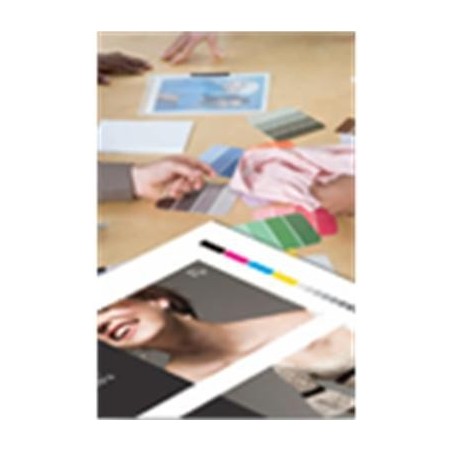Epson Pap Proofing Blanc Semi-Mat 256g 13" (0,330x30,5m)