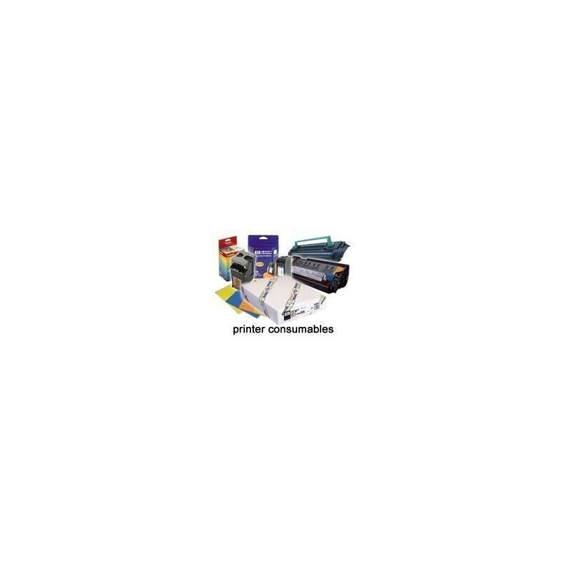 Epson Pap Adhésif Synthétique Supérieur 135g 24" (0,610x30,5m) Epson Pap Adhésif Synthétique Supérieur 135g 24" (0,610x30,5m)