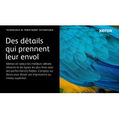 Xerox Cartouche de toner Noir de Capacité standard Imprimante couleur ® VersaLink® C500 multifonctions ® VersaLink® C505 (5000