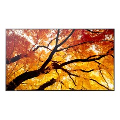 Sharp MultiSync M502 Écran plat de signalisation numérique 127 cm (50") LCD 550 cd m² 4K Ultra HD Noir 24 7