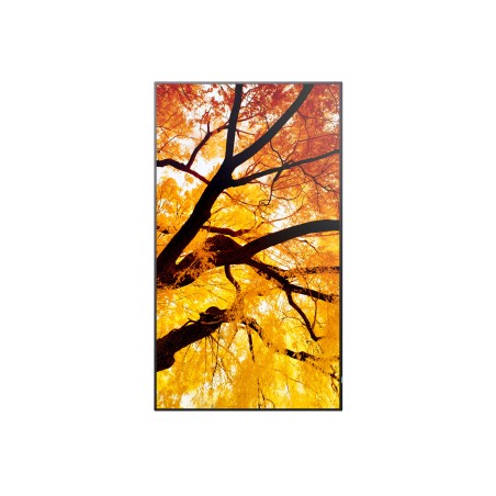Sharp MultiSync M502 Écran plat de signalisation numérique 127 cm (50") LCD 550 cd/m² 4K Ultra HD Noir 24/7