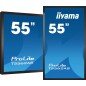 iiyama T5562AS-B1 Écran d'affichage dynamique Écran plat interactif 138,7 cm (54.6") VA 500 cd/m² 4K Ultra HD Noir Écran