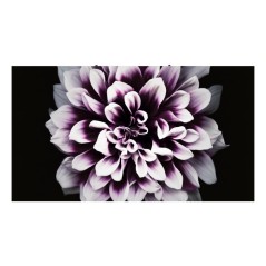 Samsung LH008IWJMWS Écran d'affichage dynamique Écran plat de signalisation numérique LED 500 cd m² 4K Ultra HD Noir, Argent