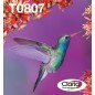 Epson Hummingbird Package EasyMail encre Claria Photographic T0807 Multipack 6 couleurs Epson Hummingbird Package EasyMail encre Claria Photographic T0807 Multipack 6 couleurs