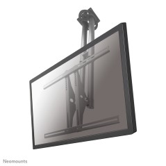 Neomounts PLASMA-C100 Support de plafond pour écran 37-75" - h67-107 cm