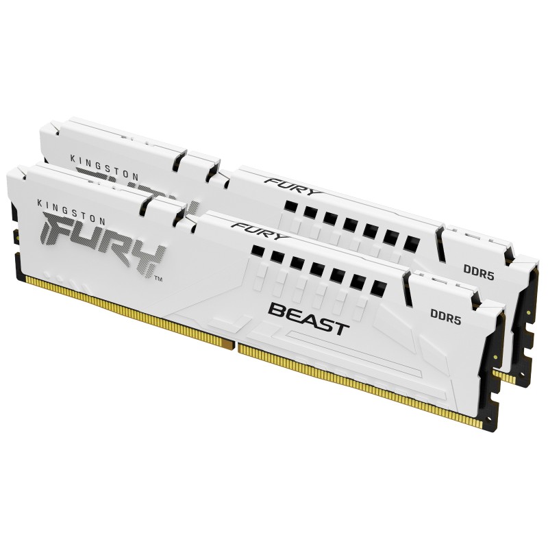 Kingston Technology FURY Beast 32 Go 5600 MT/s DDR5 CL36 DIMM (Kits de 2) White EXPO