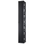 APC Passe-câbles vertical - pour racks à 2 et 4 montants - H213cm x L30cm - 1 côté APC Passe-câbles vertical - pour racks à 2 et 4 montants - H213cm x L30cm - 1 côté
