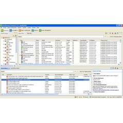 APC StruxureWare Data Center Expert, licence pour 100 nœuds uniquement - Professionnels