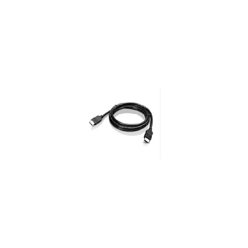 Lenovo 2.0m DVI câble DVI 2 m DVI-D Noir