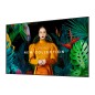 Samsung QH98C Écran plat de signalisation numérique 2,49 m (98") LCD Wifi 700 cd/m² 4K Ultra HD Noir Tizen 7.0 24/7