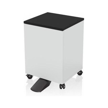 Epson 7112285 meuble d'imprimante Noir, Blanc