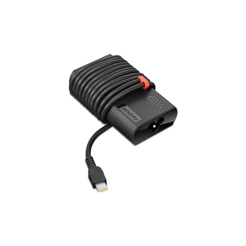 Lenovo GX20Z46255 adaptateur de puissance & onduleur Intérieur & extérieur Noir