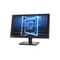 Lenovo ThinkVision E20-30 écran plat de PC 49,5 cm (19.5") 1600 x 900 pixels Noir Lenovo ThinkVision E20-30 écran plat de PC 49,5 cm (19.5") 1600 x 900 pixels Noir