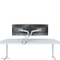 Neomounts FPMA-D750DSILVER Support d'écran à fixer 10-32" - ressort à gaz - Topfix