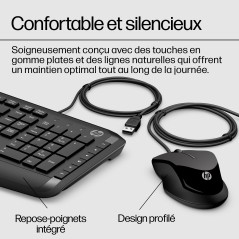 HP Pavilion KEYBOARD AND MOUSE 200 clavier Souris incluse Universel USB Noir