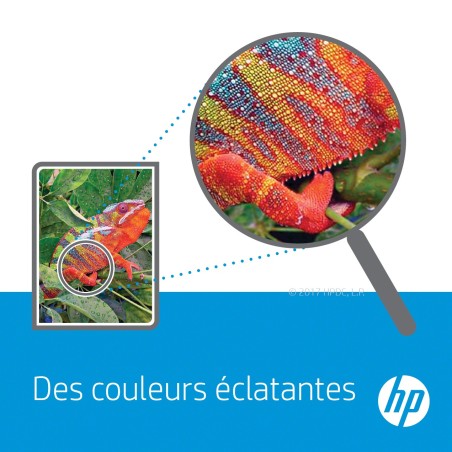HP Cartucho de tinta cian 363 con tinta Vivera cartouche d'encre 1 pièce(s) Original Rendement standard Cyan clair
