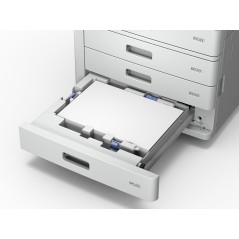 Epson WorkForce Enterprise WF-C17590 D4TWF