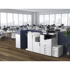 Epson WorkForce Enterprise WF-C17590 D4TWF