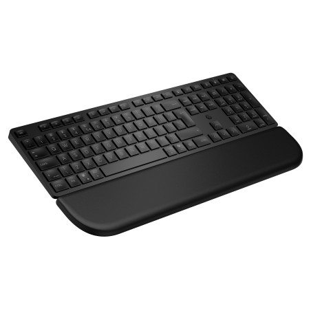 HP Multi-DevDual-ModeKBDwPlm FR clavier Noir