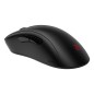 ZOWIE EC2-DW souris Gaming Droitier USB Type-A Optique 3200 DPI