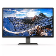 Philips P Line 439P1/00 écran plat de PC 108 cm (42.5") 3840 x 2160 pixels 4K Ultra HD LCD Noir