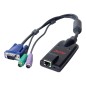 APC KVM 2G , module serveur, PS/2