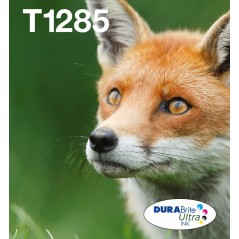 Epson Fox Encre EasyMail DURABrite Ultra multipack 4 couleurs Renard T128