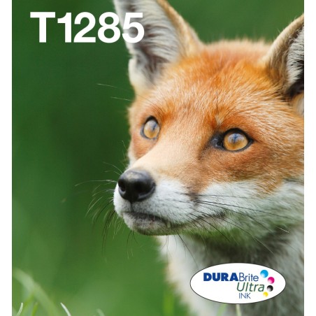 Epson Fox Encre EasyMail DURABrite Ultra multipack 4 couleurs Renard T128