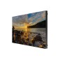 Samsung IF020R LED Intérieure