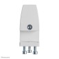 Neomounts NS-CLMP40WHITE Jeu de pinces de bureau (2 pcs) - max 5 kg Neomounts NS-CLMP40WHITE Jeu de pinces de bureau (2 pcs) - max 5 kg