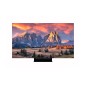 LG 65EP5G-B Écran d'affichage dynamique Écran plat de signalisation numérique 165,1 cm (65") OLED 185 cd/m² 4K Ultra HD Noir LG 65EP5G-B Écran d'affichage dynamique Écran plat de signalisation numérique 165,1 cm (65") OLED 185 cd/m² 4K Ultra HD Noir