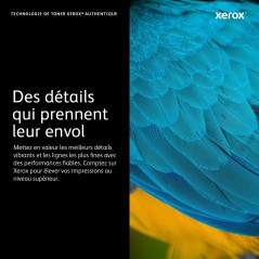 Xerox Cartouche de tambour
