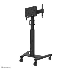 Neomounts FL50S-825BL1 Support au sol mobile pour écran 37-75" - TÜV