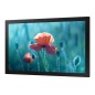 Samsung QB13C 33 cm (13") LCD Wifi 500 cd/m² Full HD Noir 16/7