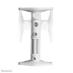 Neomounts SPEAKER-W100 Support pour haut-parleur - universel - orientable