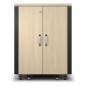 APC NetShelter - Rack informatique insonorisé - 17U - Finition Erable