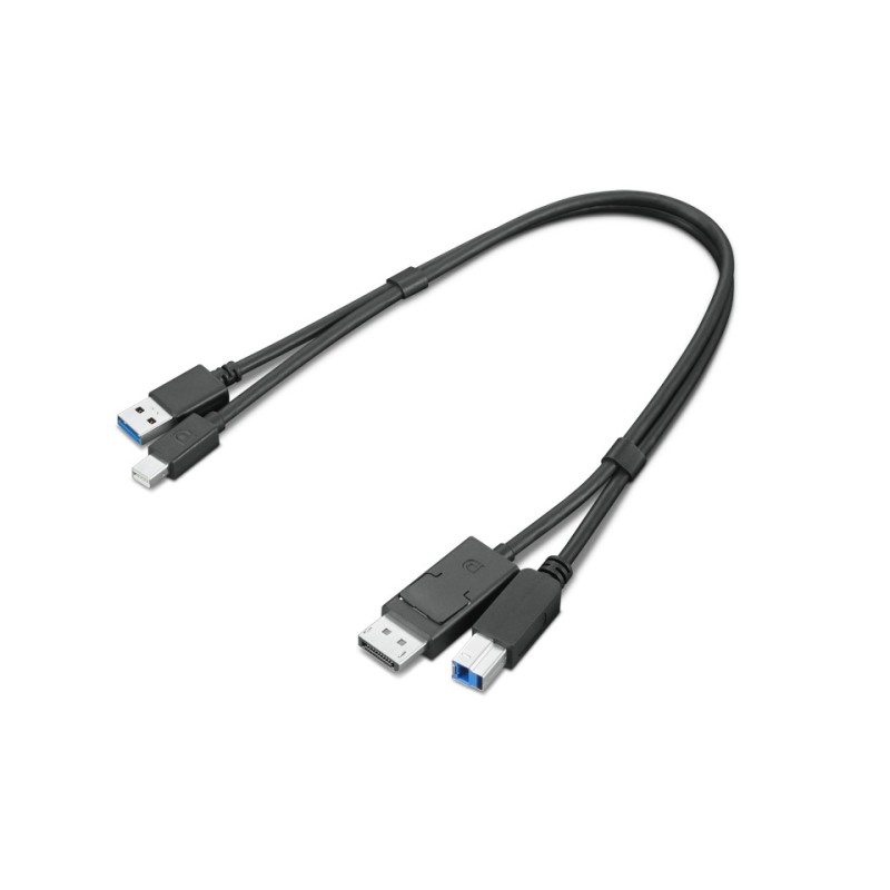 Lenovo 4X91D11453 câble USB USB 3.2 Gen 1 (3.1 Gen 1) 0,43 m USB A USB B Noir