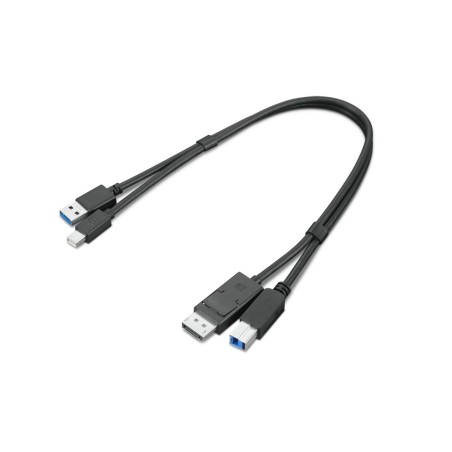 Lenovo 4X91D11453 câble USB USB 3.2 Gen 1 (3.1 Gen 1) 0,43 m USB A USB B Noir