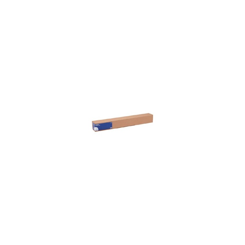 Epson Pap Photo Glacé (250) 248g 17" (0,432x30.5m)