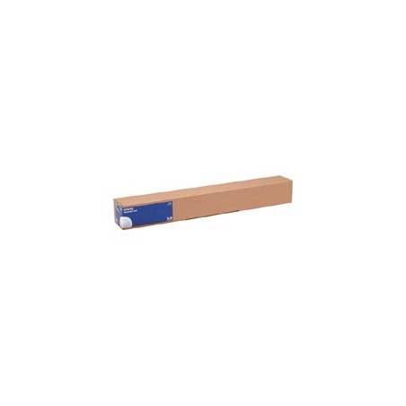 Epson Pap Photo Glacé (250) 248g 17" (0,432x30.5m)