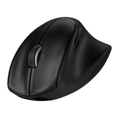 HP Souris ergonomique inclinable 725M