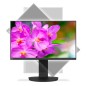 NEC MultiSync EA241F-BK écran plat de PC 61 cm (24") 1920 x 1080 pixels Full HD LED Noir NEC MultiSync EA241F-BK écran plat de PC 61 cm (24") 1920 x 1080 pixels Full HD LED Noir
