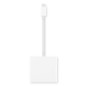 Lenovo GX90T33021 adaptateur graphique USB 3840 x 2160 pixels Blanc