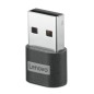 Lenovo 4X91C99226 changeur de genre de câble USB-C USB-A Noir