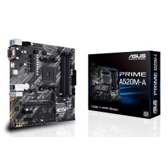 ASUS PRIME A520M-A II CSM AMD A520 Emplacement AM4 micro ATX
